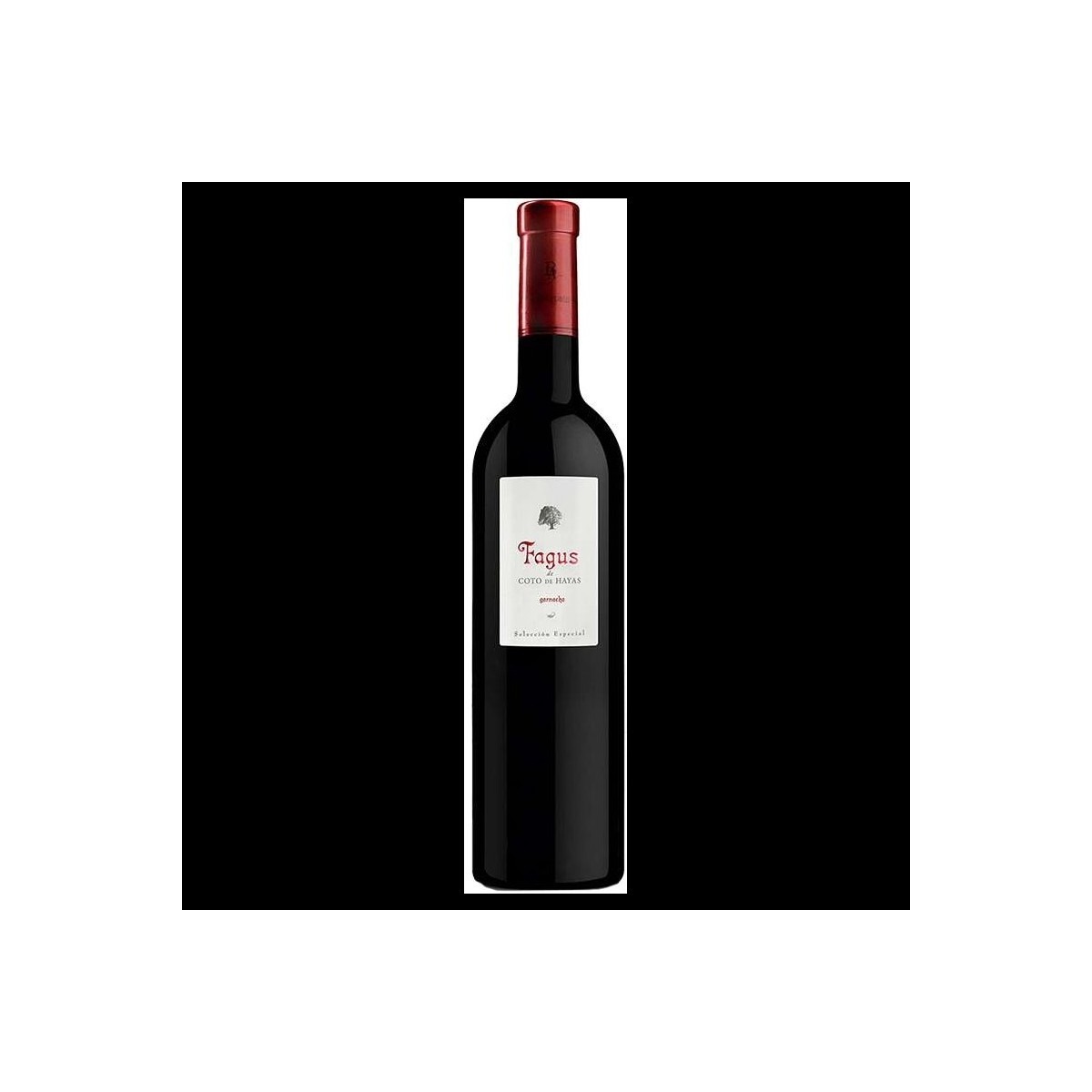Bodegas Aragonesas Fagus De Coto De Hayas Campo De Borja Do Especial 2020 (вино чер сух) 14,5% 0,75л