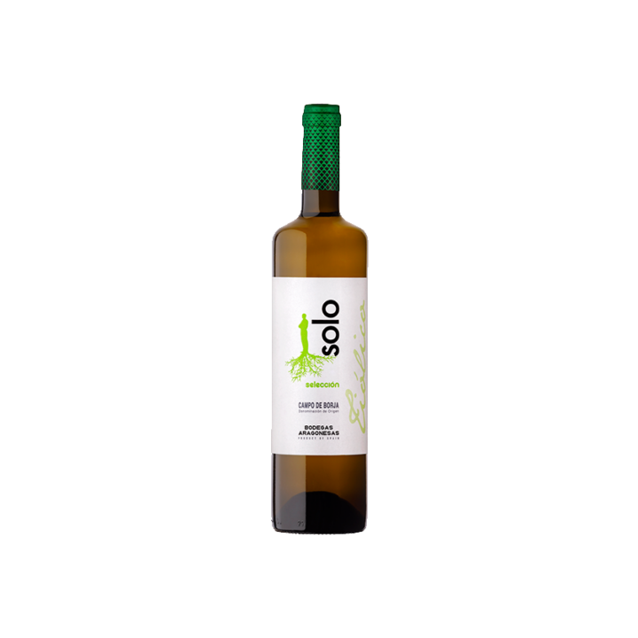 Bodegas Aragonesas Coto de Hayas Solo Tiolico Muscat Campo de Borja 2020 (Мускат бiл сух) 13