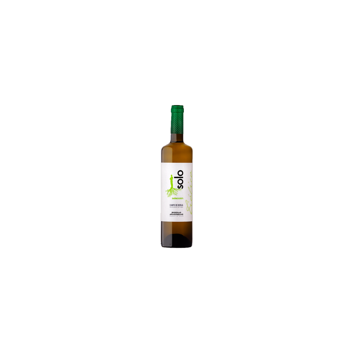 Bodegas Aragonesas Coto de Hayas Solo Tiolico Muscat Campo de Borja 2020 (Мускат бiл сух) 13